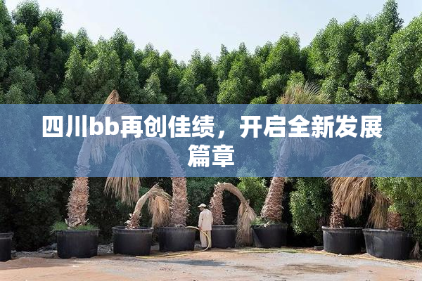 四川bb再创佳绩，开启全新发展篇章