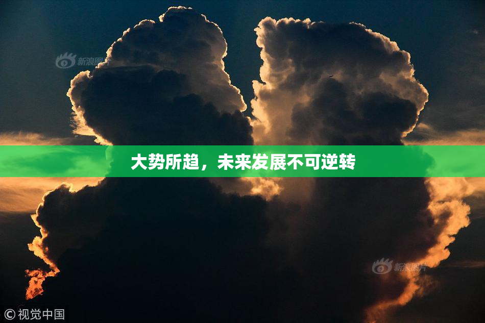 大势所趋，未来发展不可逆转