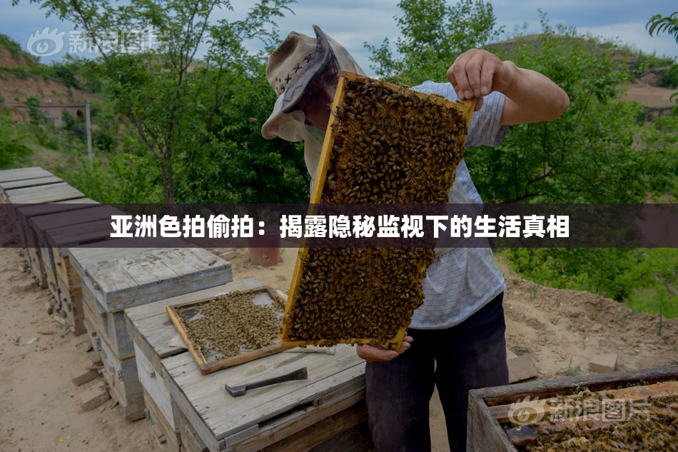 亚洲色拍偷拍：揭露隐秘监视下的生活真相