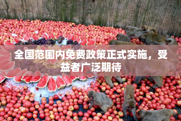 全国范围内免费政策正式实施，受益者广泛期待