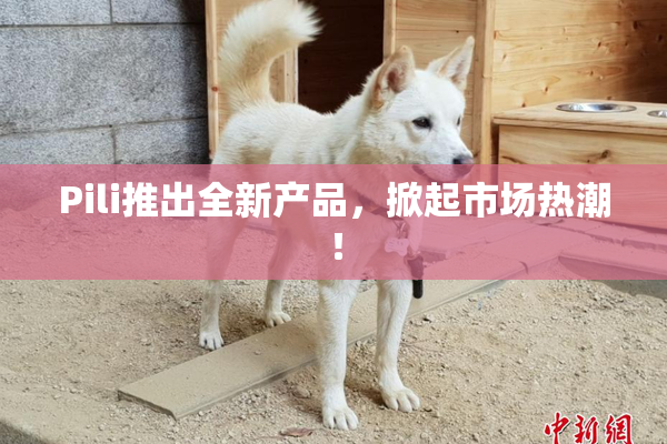 Pili推出全新产品，掀起市场热潮！