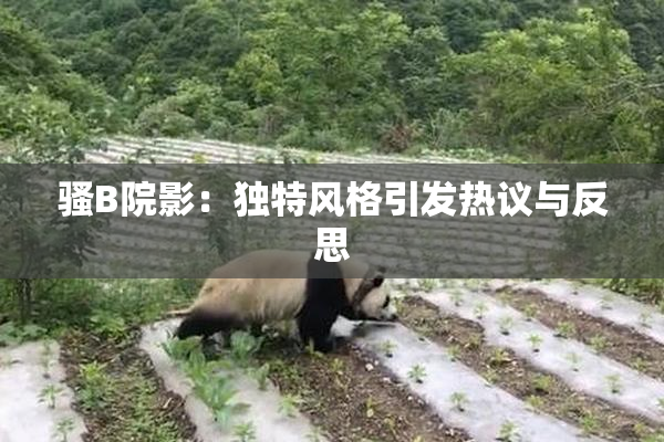 骚B院影：独特风格引发热议与反思
