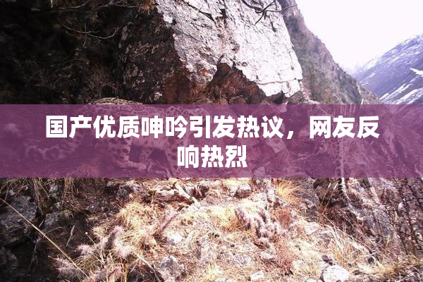 国产优质呻吟引发热议，网友反响热烈