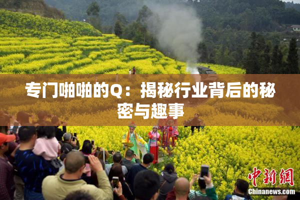 专门啪啪的Q：揭秘行业背后的秘密与趣事