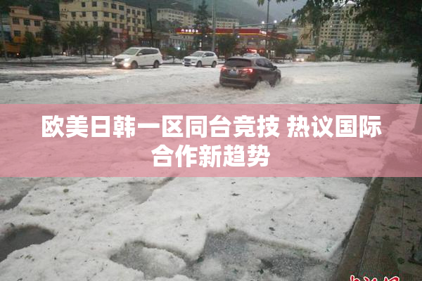 欧美日韩一区同台竞技 热议国际合作新趋势
