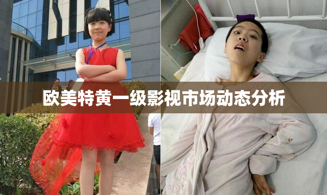 欧美特黄一级影视市场动态分析