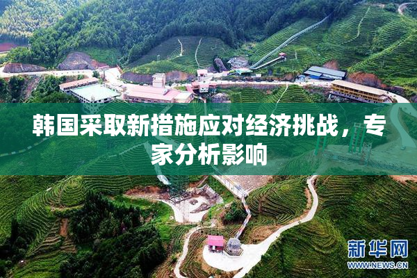 韩国采取新措施应对经济挑战，专家分析影响