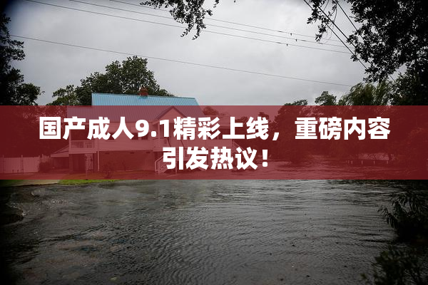 国产成人9.1精彩上线，重磅内容引发热议！