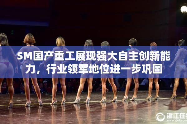 SM国产重工展现强大自主创新能力，行业领军地位进一步巩固