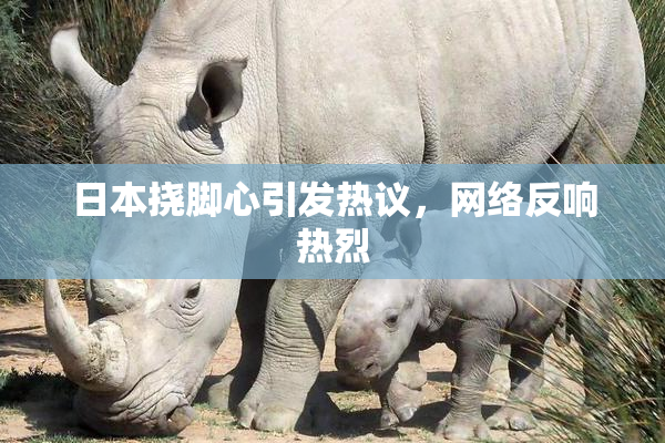 日本挠脚心引发热议，网络反响热烈