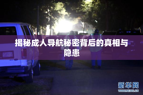 揭秘成人导航秘密背后的真相与隐患