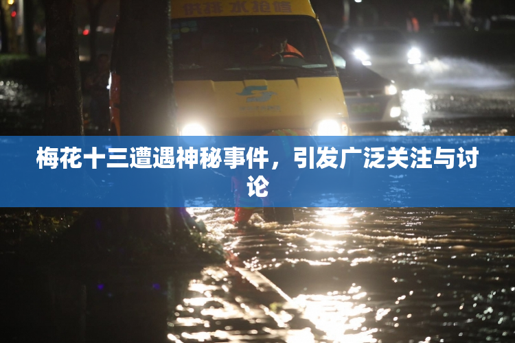 梅花十三遭遇神秘事件，引发广泛关注与讨论