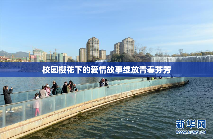 校园樱花下的爱情故事绽放青春芬芳