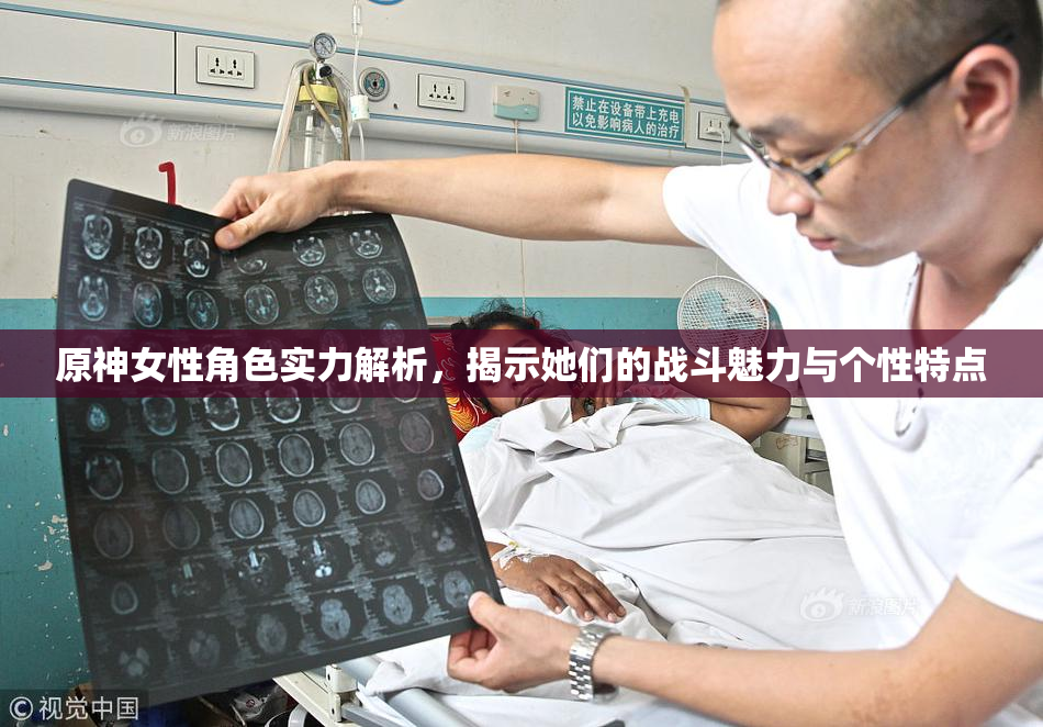 原神女性角色实力解析，揭示她们的战斗魅力与个性特点