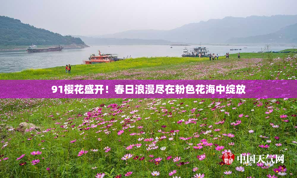 91樱花盛开！春日浪漫尽在粉色花海中绽放
