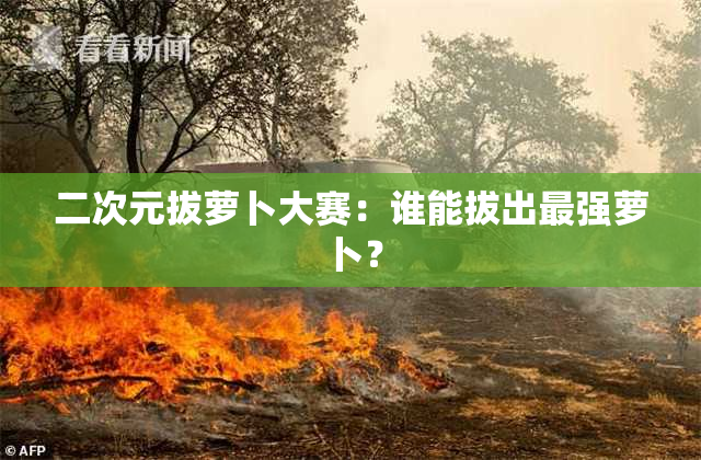 二次元拔萝卜大赛：谁能拔出最强萝卜？