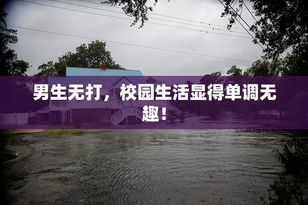 男生无打，校园生活显得单调无趣！