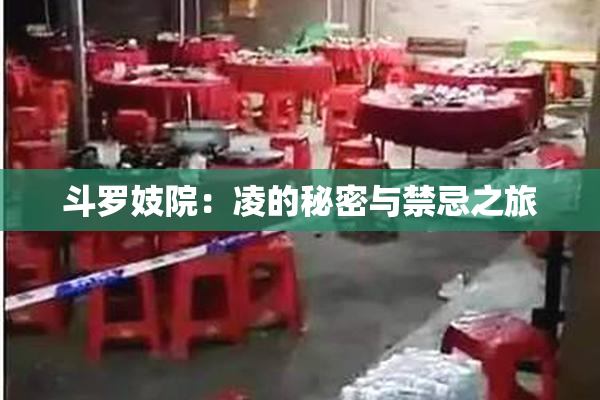 斗罗妓院：凌的秘密与禁忌之旅
