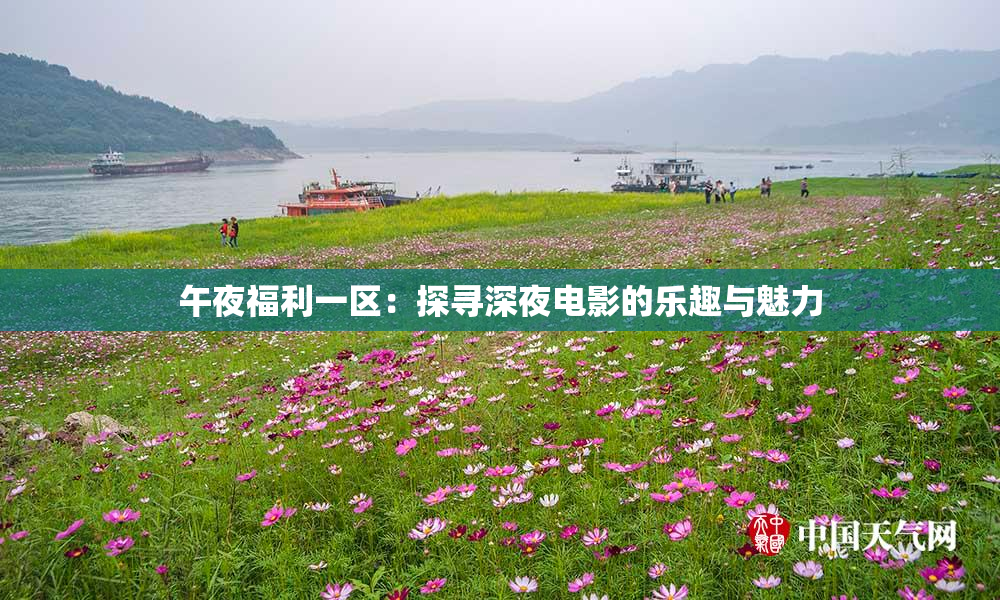 午夜福利一区：探寻深夜电影的乐趣与魅力