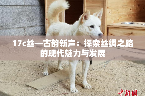 17c丝—古韵新声：探索丝绸之路的现代魅力与发展
