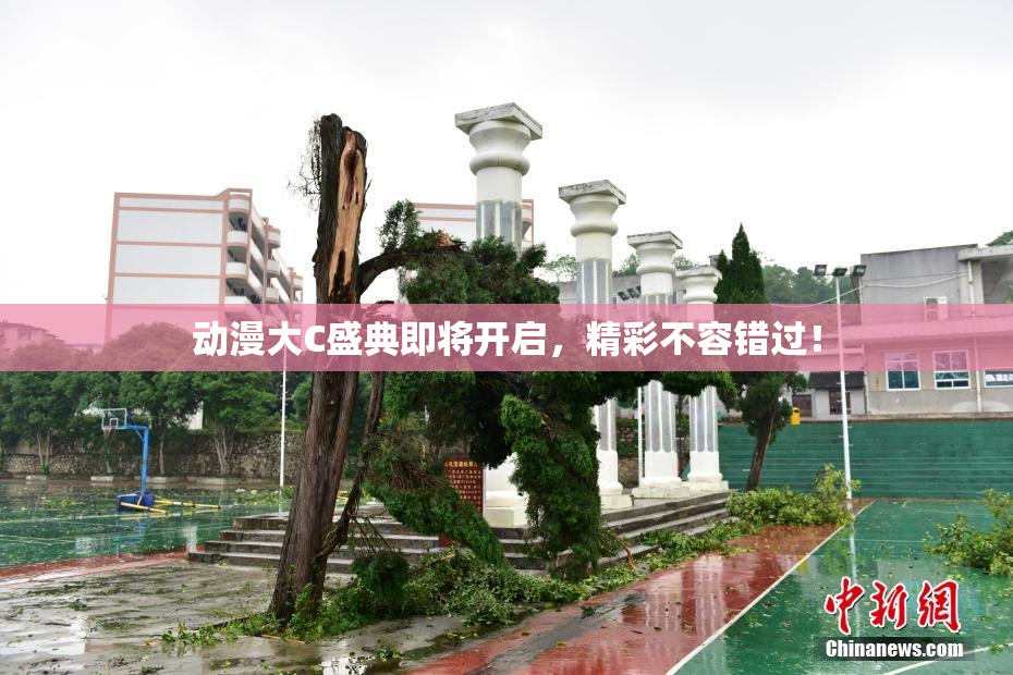 动漫大C盛典即将开启，精彩不容错过！