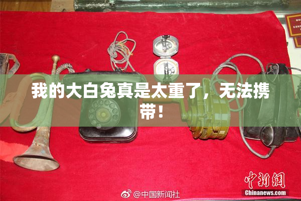 我的大白兔真是太重了，无法携带！