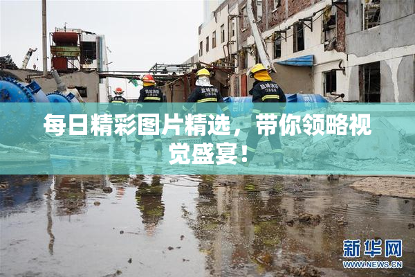 每日精彩图片精选，带你领略视觉盛宴！
