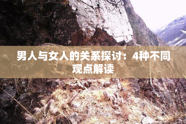 男人与女人的关系探讨：4种不同观点解读
