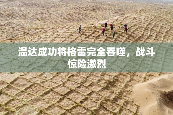 温达成功将格雷完全吞噬，战斗惊险激烈