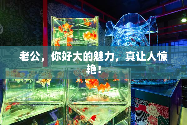 老公，你好大的魅力，真让人惊艳！