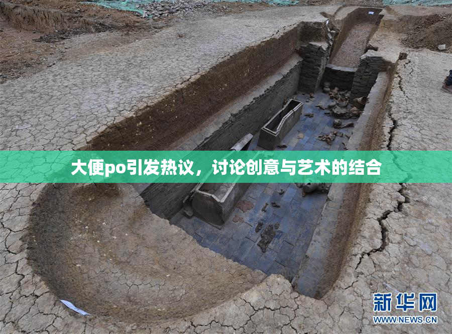 大便po引发热议，讨论创意与艺术的结合