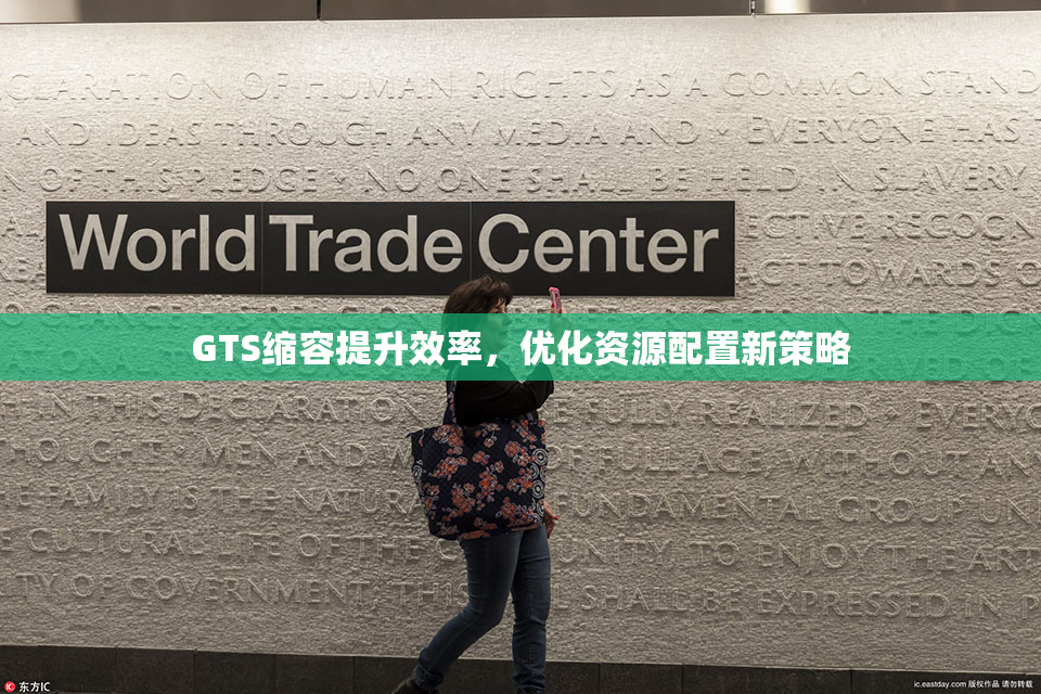 GTS缩容提升效率，优化资源配置新策略
