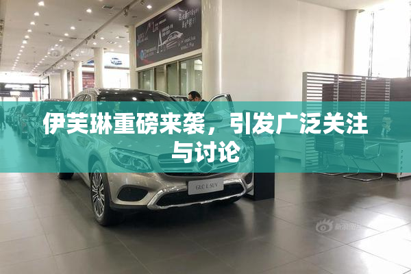 伊芙琳重磅来袭，引发广泛关注与讨论