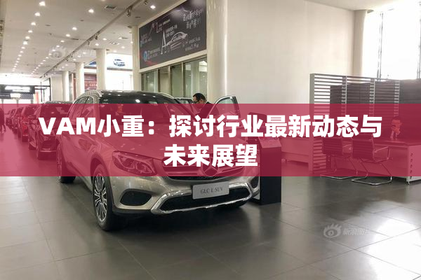 VAM小重：探讨行业最新动态与未来展望