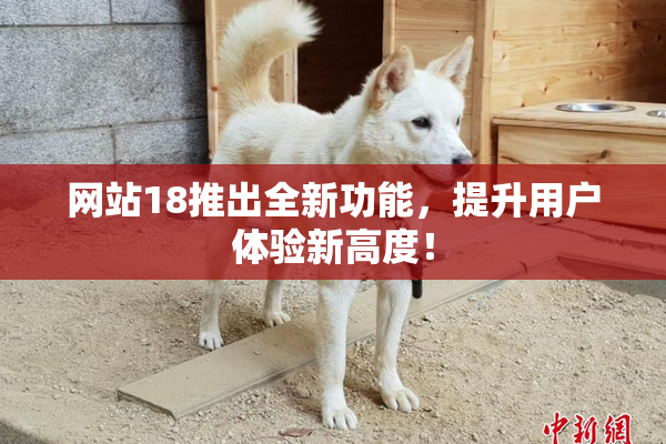 网站18推出全新功能，提升用户体验新高度！