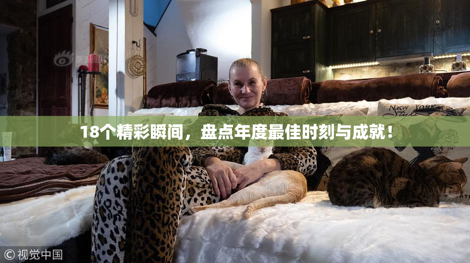 18个精彩瞬间，盘点年度最佳时刻与成就！