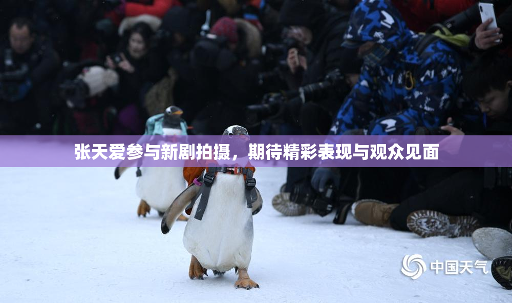 张天爱参与新剧拍摄，期待精彩表现与观众见面