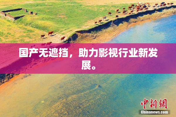 国产无遮挡，助力影视行业新发展。