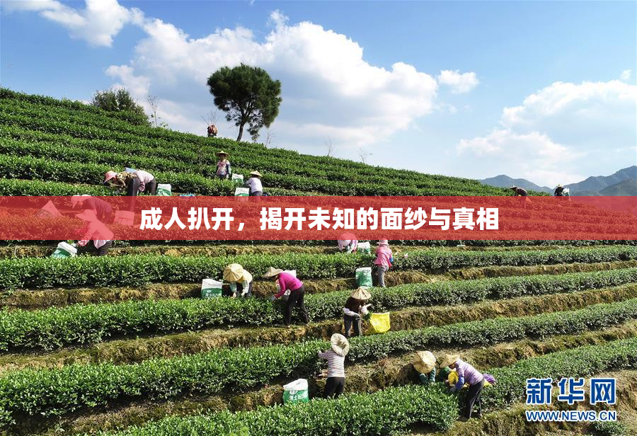 成人扒开，揭开未知的面纱与真相