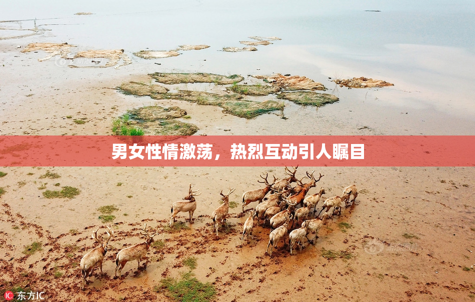 男女性情激荡，热烈互动引人瞩目