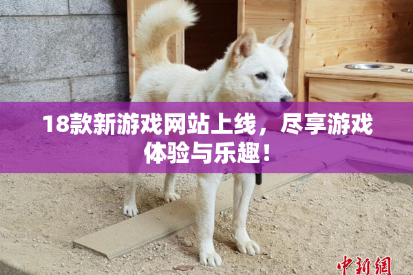 18款新游戏网站上线，尽享游戏体验与乐趣！