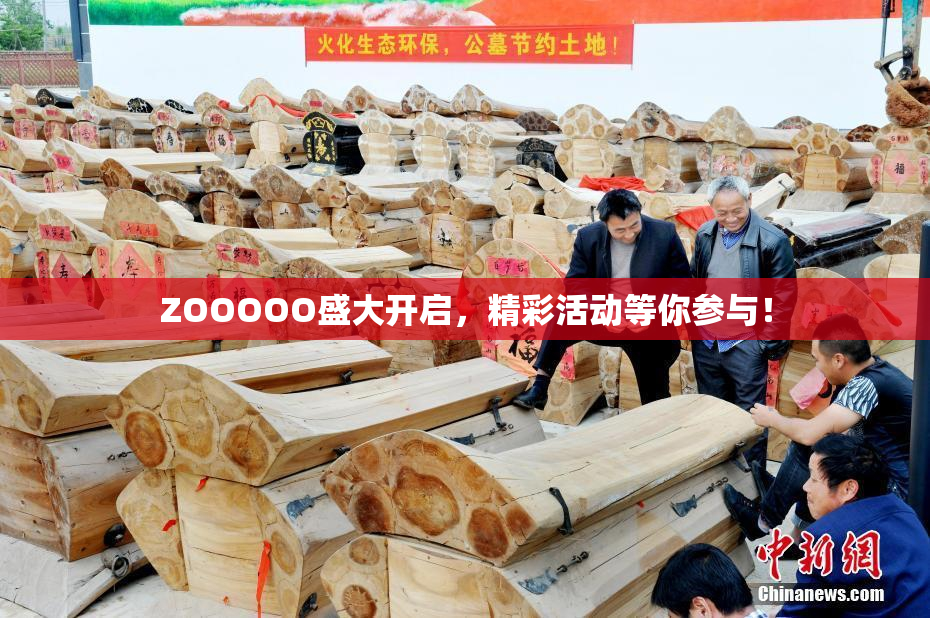 ZOOOOO盛大开启，精彩活动等你参与！