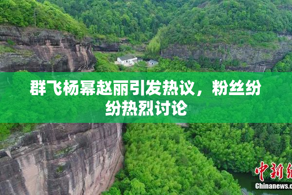 群飞杨幂赵丽引发热议，粉丝纷纷热烈讨论