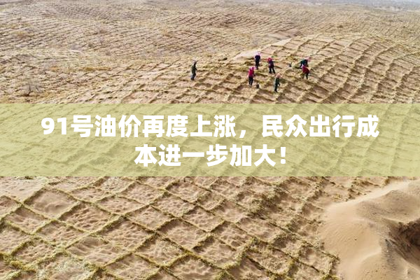 91号油价再度上涨，民众出行成本进一步加大！
