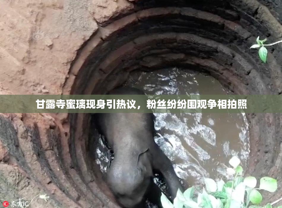 甘露寺蜜璃现身引热议，粉丝纷纷围观争相拍照