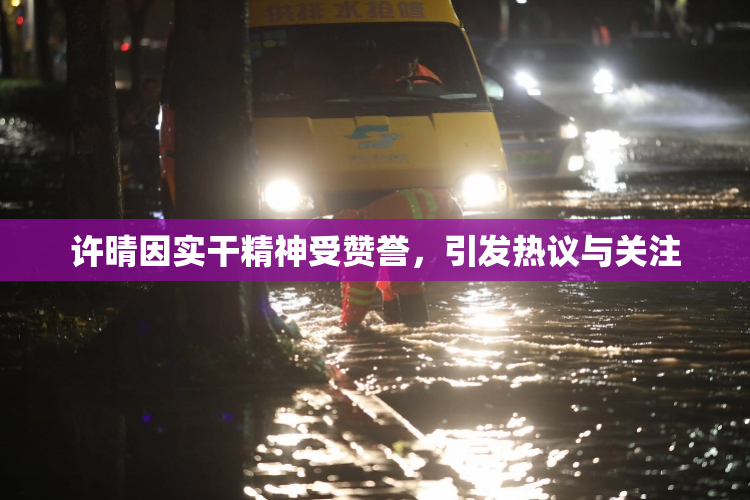 许晴因实干精神受赞誉，引发热议与关注