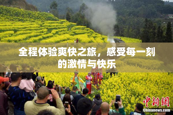 全程体验爽快之旅，感受每一刻的激情与快乐