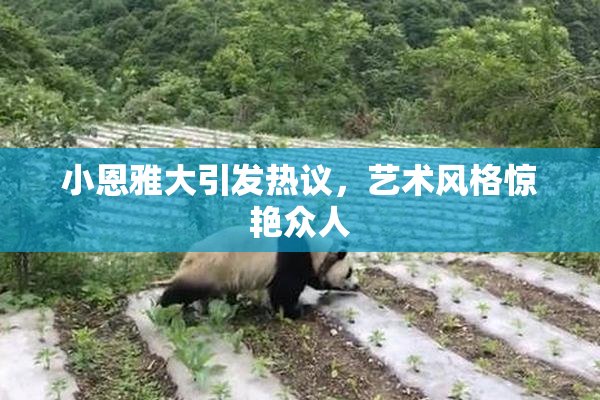 小恩雅大引发热议，艺术风格惊艳众人