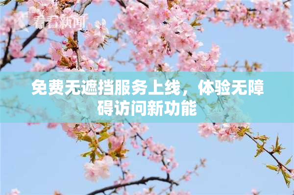 免费无遮挡服务上线，体验无障碍访问新功能