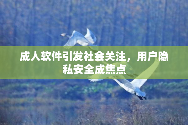 成人软件引发社会关注，用户隐私安全成焦点